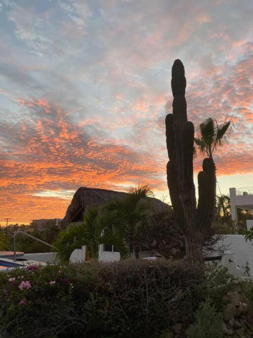Casita Serena Cabo San Lucas Extérieur photo
